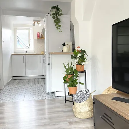 Apartment Le Saint Maclou - Rue Martainville - Duplex *