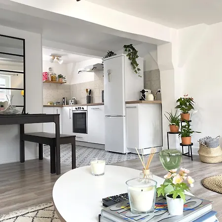 Apartment Le Saint Maclou - Rue Martainville - Duplex *